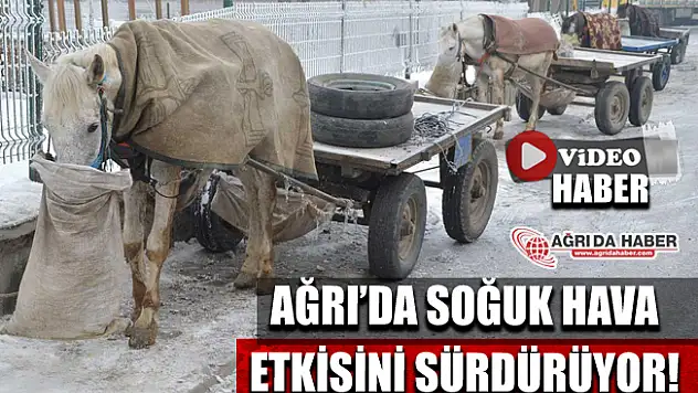 Ağrı'da soğuk hava etkisini sürdürmeye devam ediyor