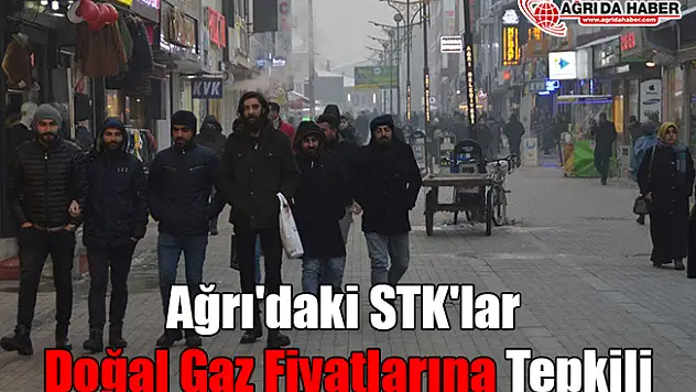 Ağrı'daki STK'lar Doğal Gaz Fiyatlarına Tepkili