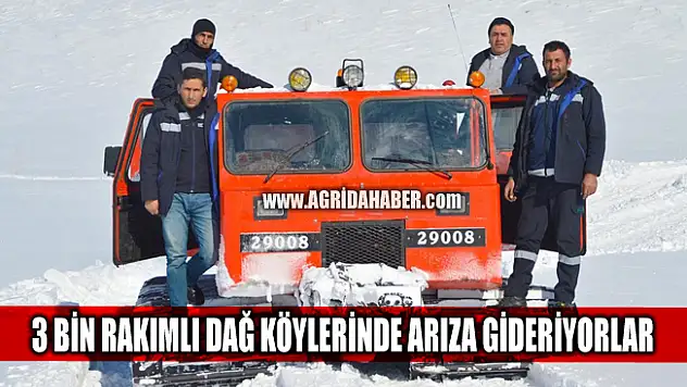 Ağrı'da 3 bin rakımlı karlı dağ köylerinde elektrik arızası giderildi