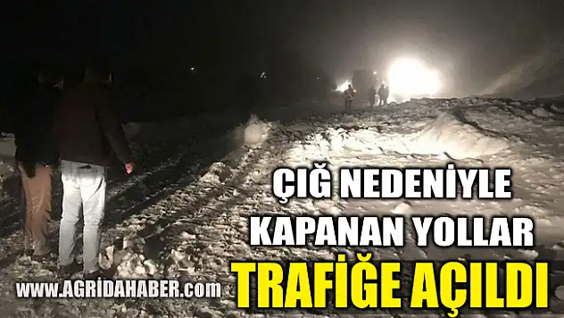 Ağrı'da düşen çığ nedeniyle kapanan yol trafiğe açıldı