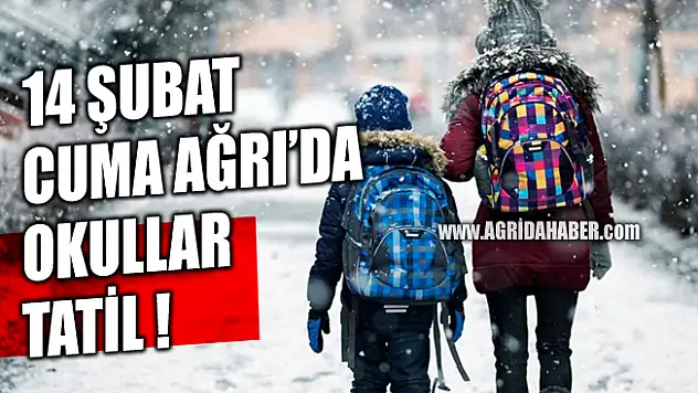 Ağrı'da Kar Tatili Uzatıldı 14 Şubat Cuma Okullar Tatil