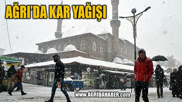 Ağrı'da Yoğun Kar Yağışı
