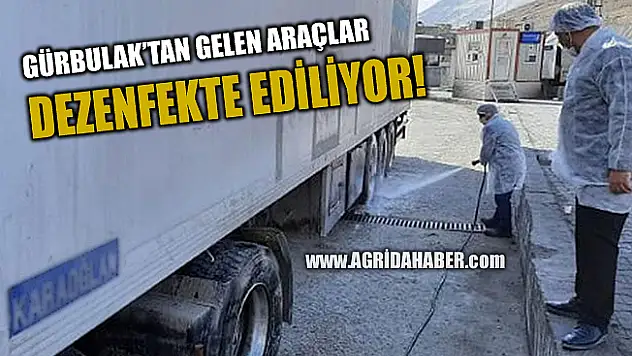 Gürbulak Sınır Kapısı'nda araçlar dezenfekte ediliyor
