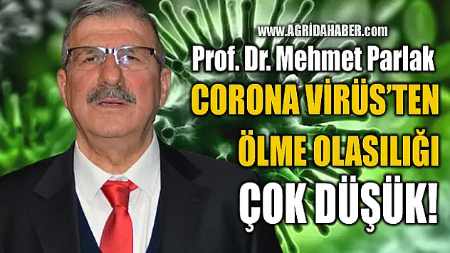 Prof. Dr. Mehmet Parlak: 'İnsanların Corona virüs'ten ölme olasılığı çok düşük'