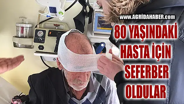 Sağlık ekipleri Ağrı'da 80 yaşındaki hasta için seferber oldu