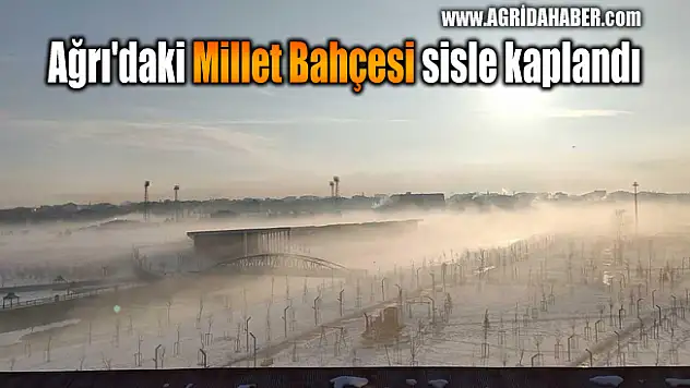 Ağrı'daki Millet Bahçesi sisle kaplandı