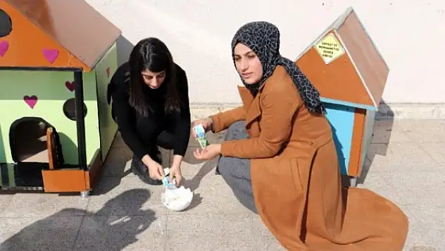Ağrı'daki Üniversite öğrencilerinden örnek davranış
