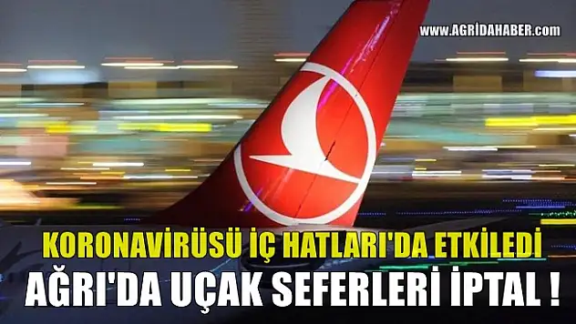 Ağrı'da Uçak Seferleri Geçici olarak Durduruldu