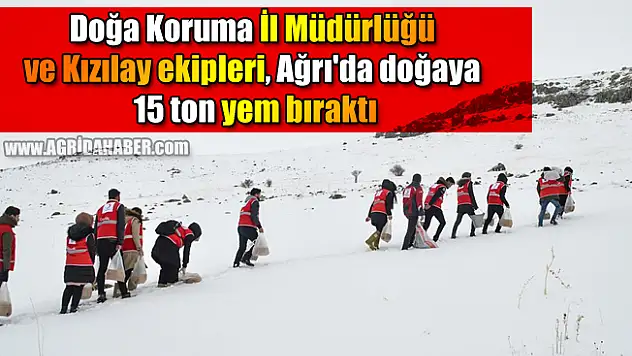 Doğa Koruma İl Müdürlüğü ve Kızılay ekipleri, Ağrı'da doğaya 15 ton yem bıraktı