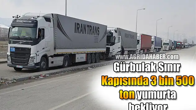 Gürbulak Sınır Kapısında 3 bin 500 ton yumurta bekliyor
