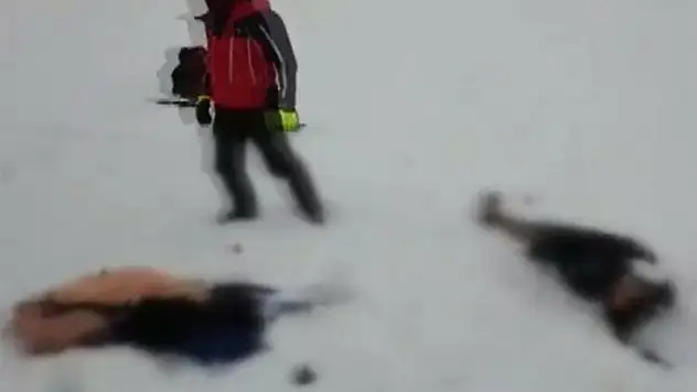 İran sınırında 7 ceset daha bulundu