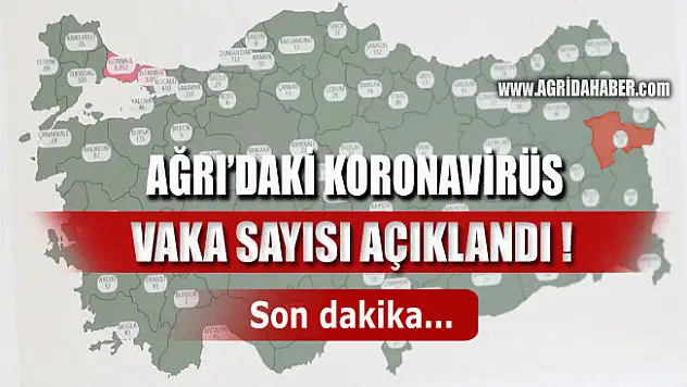 Ağrı'da Koronavirüs Vaka Sayısı Açıklandı! İşte İl İl Vaka Sayıları