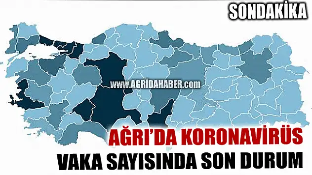 Ağrı'da koronavirüs Vaka Sayısı Arttı! İşte Türkiye İllere göre Vaka Sayıları