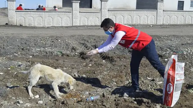 Genç Kızılay Gönüllüleri Hayvanları Unutmadı