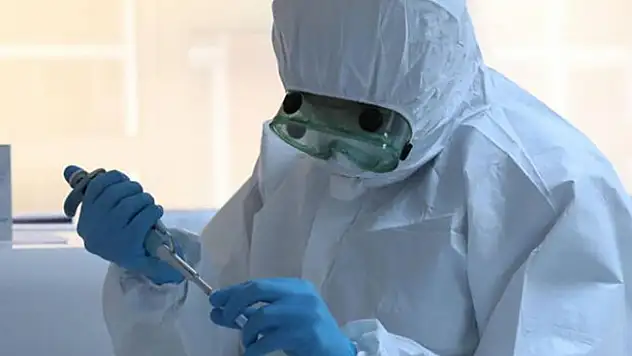 Hong Kong'lu bilim insanları: Korona Virus temmuza kadar sürebilir