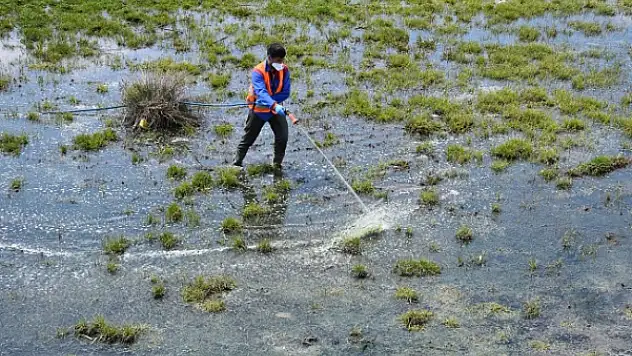 Tatvan Belediyesi Larva Üreme Noktalarını İlaçlıyor
