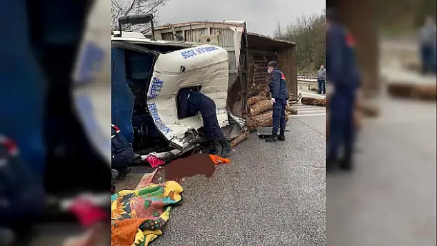 Yalova'da Tır Devrildi! Tomruklar Yola Saçıldı