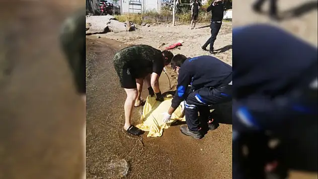 Yaralı Caretta Caretta'ya Yardım için Seferber oldular!