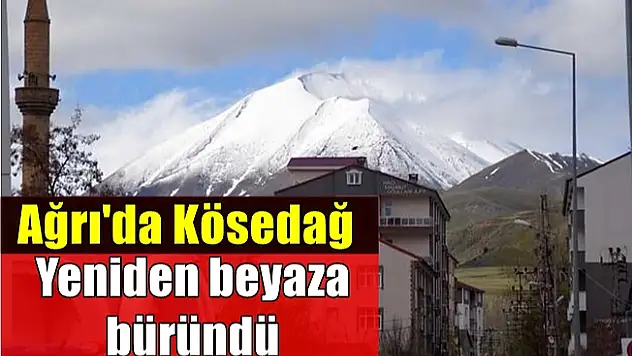 Ağrı'da Kösedağ yeniden beyaza büründü