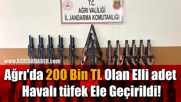 Ağrı'da 200 bin TL olan elli adet havalı tüfek ele geçirildi!