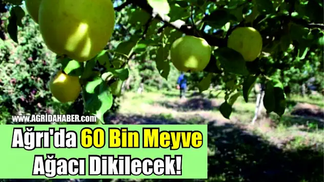 Ağrı'da 60 Bin Meyve Ağacı Dikilecek!