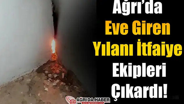 Ağrı'da Eve giren yılanı İtfaiye Ekipleri Çıkardı