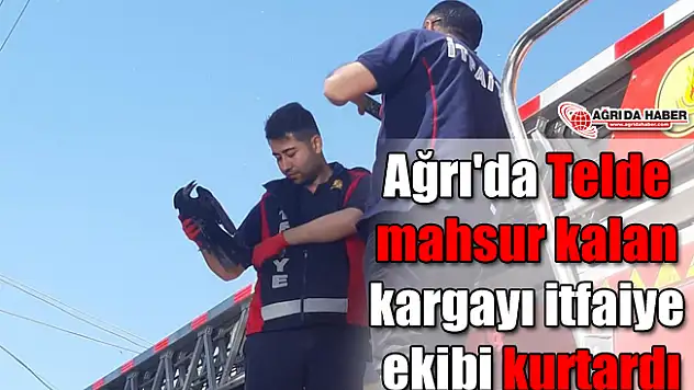 Ağrı'da Telde mahsur kalan kargayı itfaiye ekibi kurtardı