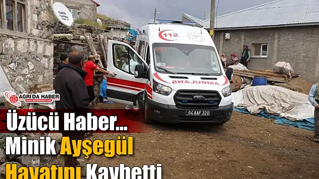 Tandıra Düşüp yaralanan Minik Ayşegül Hayatını Kaybetti