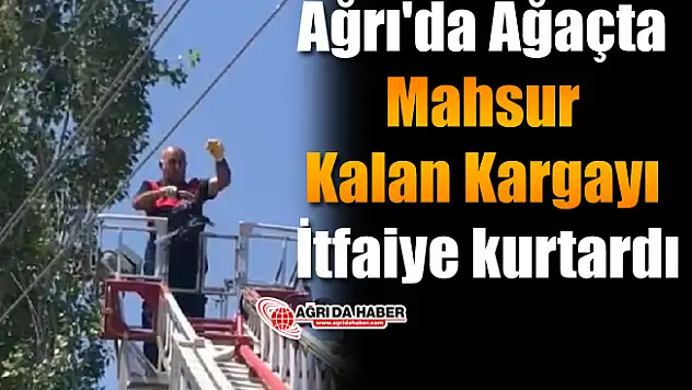 Ağrı'da Ağaçta Mahsur Kalan Kargayı İtfaiye kurtardı