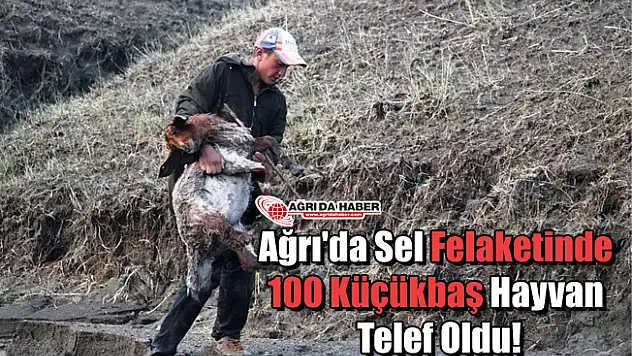 Ağrı'da Sel Felaketinde 100 Küçükbaş Hayvan Telef Oldu!