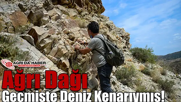 Ağrı Dağı Geçmişte Deniz Kenarıymış!