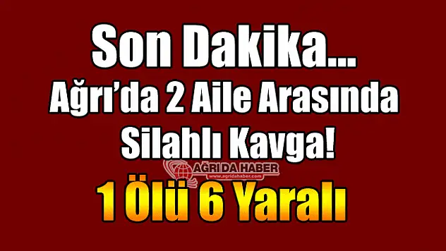 Ağrı'da 2 Aile Arasında Kavga! 1 Ölü 6 Yaralı