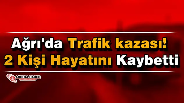 Ağrı'da Trafik kazası! 2 Kişi Hayatını Kaybetti