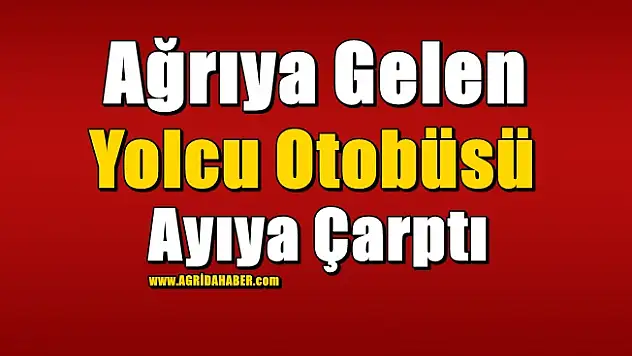 Ağrıya Gelen Yolcu Otobüsü Ayıya Çarptı