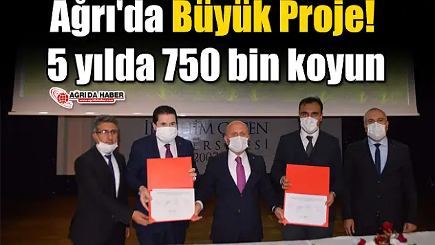Ağrı'da Büyük Proje! 5 yılda 750 bin koyun