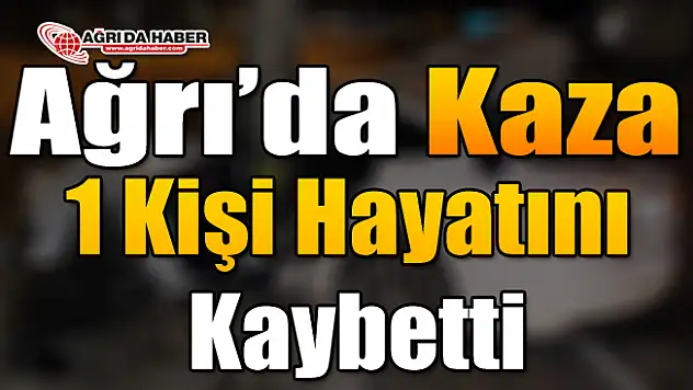 Ağrı'da Kaza! 1 Kişi Hayatını Kaybetti