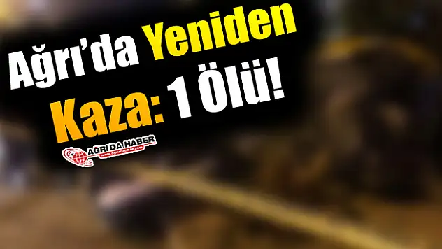 Ağrı'da Yeniden Kaza: 1 Ölü!