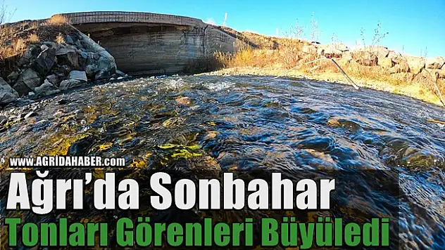 Ağrı'da Sonbahar Tonları Görenleri Büyüledi