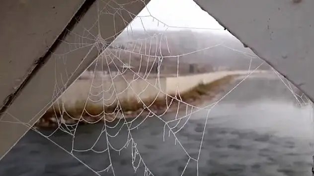 Soğuk Örümcek Ağlarından Belli Oldu!