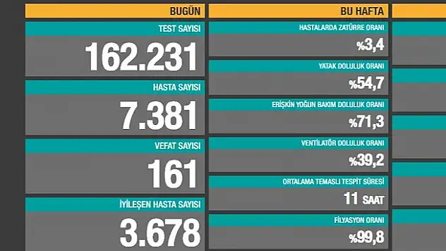 Türkiye'de Rekor! En Yüksek Can Kaybı