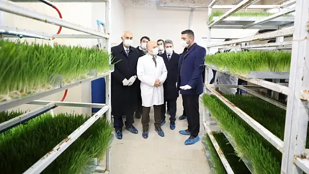 Ağrı'nın Yeni Markası Dünya Devlerine Kafa Tutuyor
