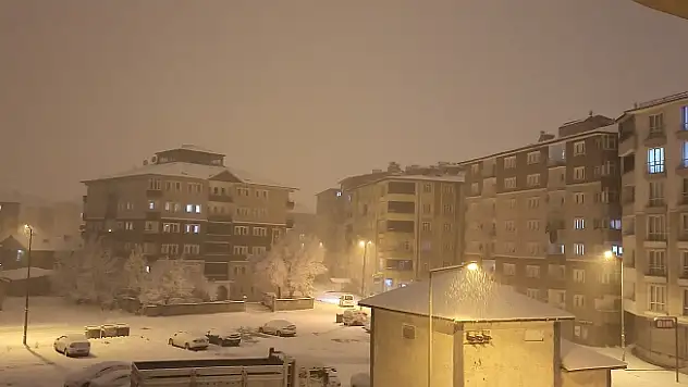 Ağrı yoğun karla yeniden beyaza büründü