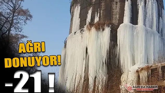 Ağrı Eksi 21 Dereceyle Doğu Anadolu Bölgesi'nin En Soğuk İli oldu