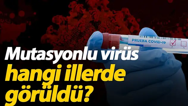 İki İlde daha Mutasyonlu koronavirüse rastlandı