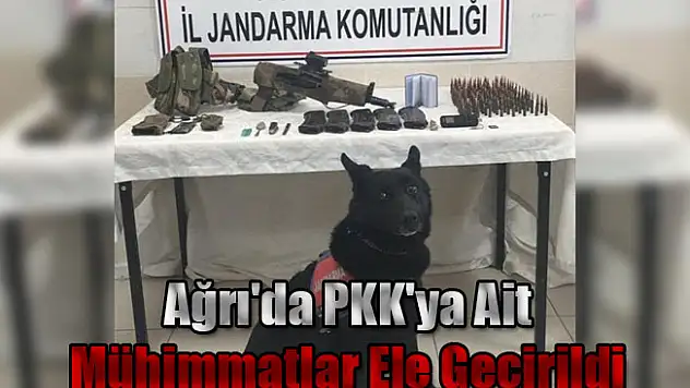 Ağrı'da PKK'ya Ait Mühimmatlar Ele Geçirildi