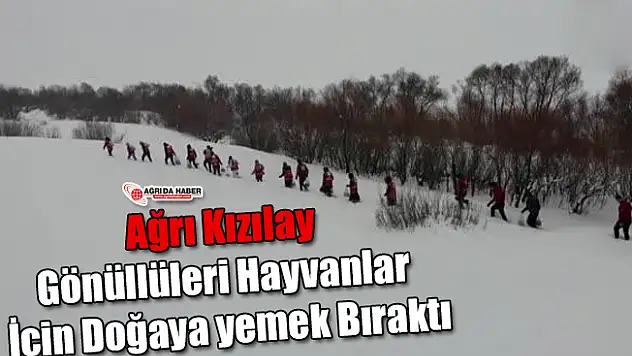Ağrı Kızılay Gönüllüleri Doğaya Yabani Hayvanlar İçin Yem Bıraktı