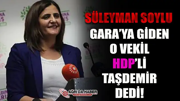 Gara'ya giden HDP Ağrı Milletvekili Dirayet Taşdemir Çıktı!