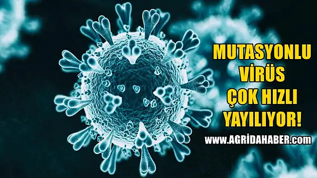 Mutasyonlu virüs çok hızlı yayılıyor! 33 İlde görüldü