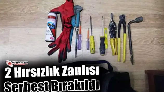 Ağrı'da 2 Hırsızlık Zanlısı Serbest Bırakıldı