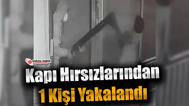Ağrı'da Kapı Çalan Hırsızlardan 1'i Yakalandı